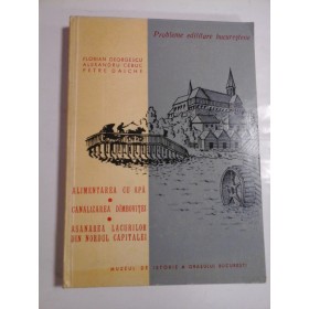 PROBLEME EDILITARE BUCURESTENE; ALIMENTAREA CU APA CANALIZAREA DIMBOVITEI ASANAREA LACURILOR DIN NORDUL CAPITALEI - FLORIAN GEORGESCU, ALEXANDRU CEBUC, PETRE DAICHE